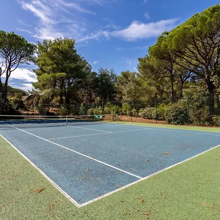 Font Mourier By Interhome Apartment La Foux (Var)